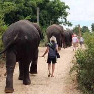 Meet your Posher, Debbie